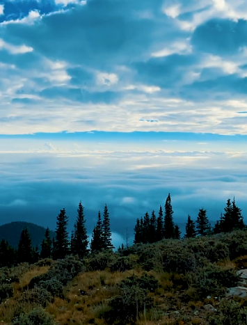愿此间山有木兮卿有意，昨夜星辰恰似你